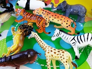Learn Colors With Wild ZOO Animals Blue Water Toys For Kids