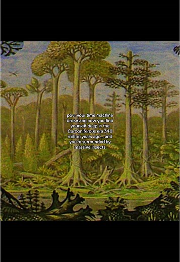 Exploring the Carboniferous Period and Its Giant Insects