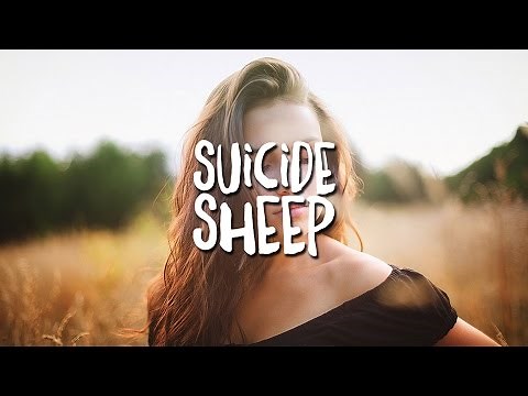 Fatboy Slim - Praise You (Maribou State Remix)