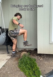 Garden Bed Reshape: Mulch vs. Rock?