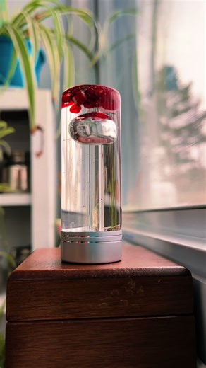 Zenful Otter on TikTok