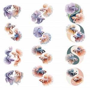 Watercolor Betta Fish Clipart Bundle: Yin Yang Koi, Siamese Fighting Fish (PNG Digital Download - Etsy Singapore