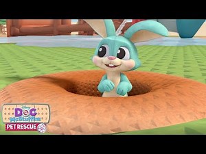 Billions of Bunnies Pet Rescue | Doc McStuffins | Disney Junior