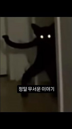 정말 무서운이야기(사악한 래리)