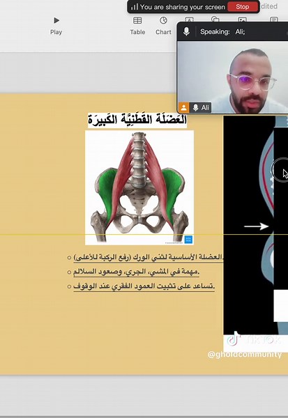 Effective Psoas Muscle Stretch for Hip and Back Pain