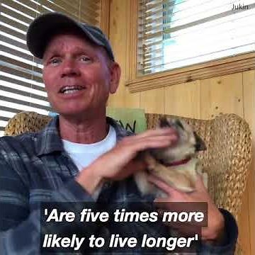 Relax by petting your dog