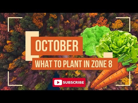 What I'm Planting this OCTOBER in Zone 8 | Heather's Greenhouse