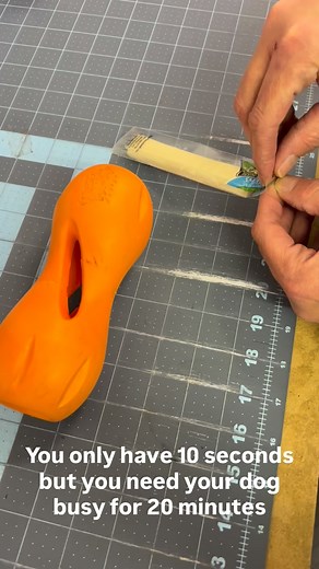 Sometimes you just don’t have hours to prep an enrichment activity. A string cheese and a @westpawus Qwizl keep Siren busy for 20 mins, and it literally takes seconds. #dogenrichment #cheese #standardpoodle #westpaw #shopsmall #medway | Cody's Creations