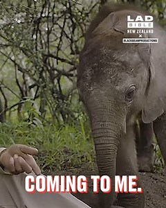 When you just need a little love, even during an interview 🐘😍 | LADbible New Zealand