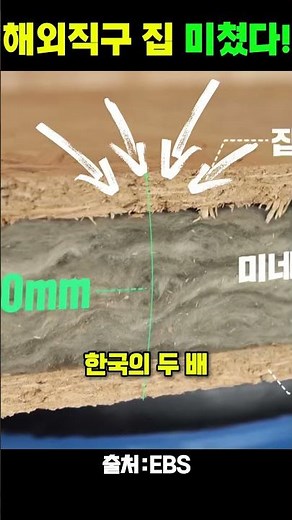 해외직구 집 미쳤다 - 80평 2층 패시브하우스 1억4천 (운송비포함) #부동산 #해외직구 #집 #건축 #쇼츠 #shorts #아파트