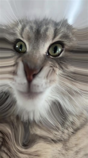 miss_Inna (@miss_inna5)’s videos with оригинальный звук - Александр Тарасов