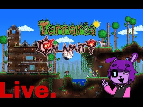 Terraria Calamity stream | Range Class | Day #26