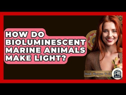 How Do Bioluminescent Marine Animals Make Light? - Inside Museum Walls