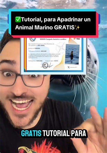 ✅Tutorial, para Apadrinar un Animal Marino GRATIS✨ #pinguino #certificado #diploma