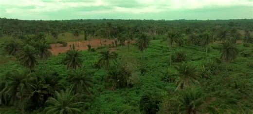 transworld entertainment presents AROKO Coming to cinema near you!