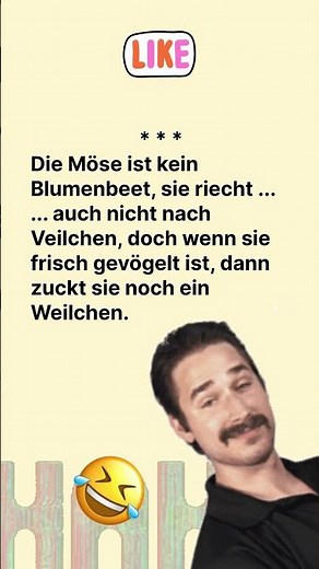 Die Möse ist kein Blumenbeet, sie riecht... ✨✨✨✨