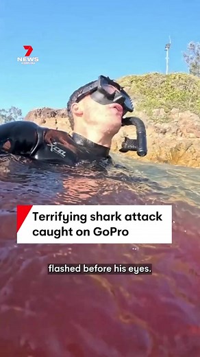 Queensland Shark Attack: Man Mauled on Beach Caught on Video
