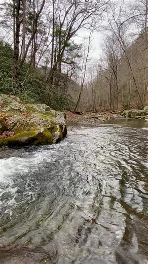Here’s another beautiful waterfall we found while on vacation in the Great Smoky Mountains National Park. #waterfall #gsmnp #nature