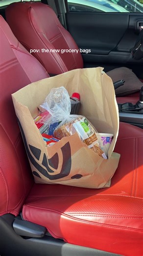 Struggles of Remembering Reusable Grocery Bags