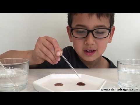 Drops on a Penny Experiment - kids science experiment - Simple Science For Kids