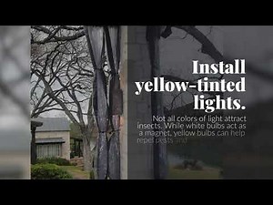 Mosquito Curtains How To Create a Mosquito Proof Outdoor Patio