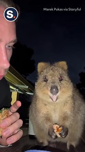 245K views · 2.6K reactions | Table for 2? | storyful | Facebook