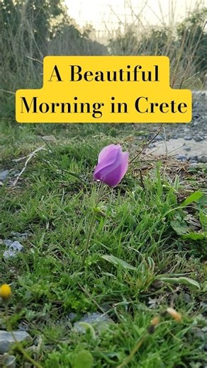 Nature from Crete Says Good Morning! 🌿☀️🇬🇷 Η Φύση στην Κρήτη σου Λέει Καλημέρα! 🌿☀️ 06.03.26