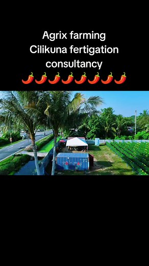 Effective Cilikuna Fertigation Techniques for Agrix Farming