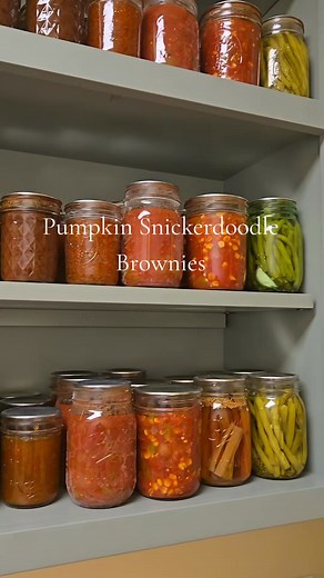 Pumpkin Snickerdoodle Brownies: 1/2 cup pumpkin puree 2/3 cup sugar 1/4 cup butter, softened 2 tsp vanilla 1/2 cup flour 1/4 tsp baking soda 1/4 tsp salt 2 tsp cinnamon 1/2 tsp ginger 1/4 tsp nutmeg 1/3 cup mini choc chips Topping: 1 tbs sugar & 1/2 tsp cinnamon Bake on 350 for 25 minutes #pumpkindessert #thanksgivingdessert #homemade #Brownies | Hutton Girls Homestead