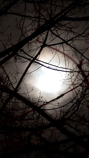 NO MORE WAR | Emotional Rap Chorus for Peace #RapChorus #song #aimusic #spiritualrap