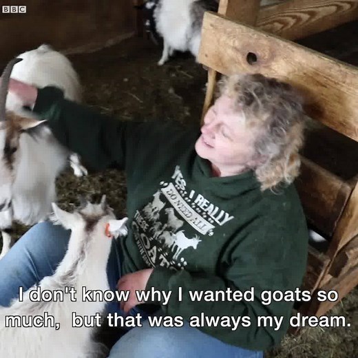 1.8M views · 578 reactions | Long live, the Icelandic goats!  (via Outlook, BBC World Service) | BBC Radio 2 | Facebook