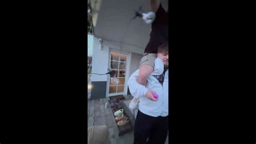 Men fall while setting up outdoor lights in Seelbach, Germany