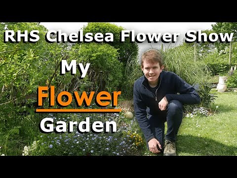RHS Virtual Chelsea Flower Show 2020 | My Flower Garden