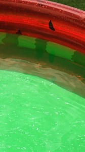 Watch Intex 66-Inch Round Inflatable Outdoor Kids Swimming and Wading Watermelon Pool on Amazon Live