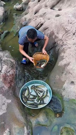 Hidden Rock Pool FULL of Fish 😱 Bare Hands Catch! 🐟🔥