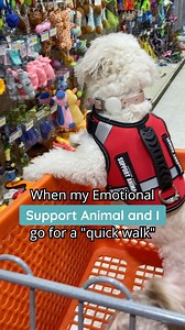 6.1K reactions · 760 shares | Get qualified to live and travel almost anywhere with your pet in 3 easy steps (even if they have a “no pets” policy). Qualify online and instantly! Get doctor approval in 48 hours (or less) | Support Pets | Facebook