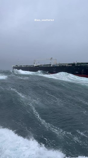 18M views · 463K reactions | Getting a little salty out here | sea_weathered | Facebook