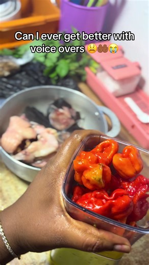 Mastering Voice Overs: Expert Tutoring Available