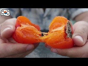 Korean Fruit Persimmon (3 different types) | What It Tastes Like & How To Eat It 🇰🇷