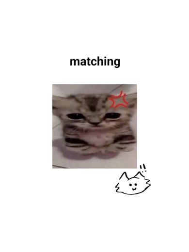 #cat | silly cat matching pfps