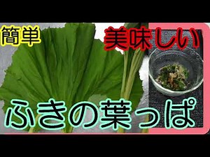 蕗（ふき）の葉っぱのきんぴら風 炒め煮 簡単 調理 ごはんが進む ＠縫いちゃんねる