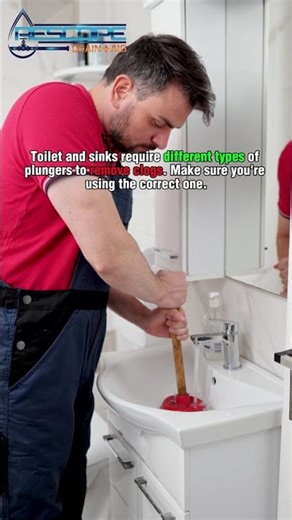 Not All Plungers Are the Same🪠 #shorts