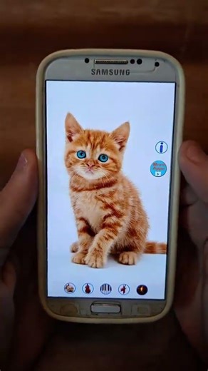 back when the internet was all about cats 😭 #fyp #cat #lostmedia #android #ios #nostalgia #nostalgic