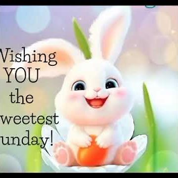 Good Morning Sunday Blessings 🌞 | Happy Sunday Wishes, Quotes & Blessing Images