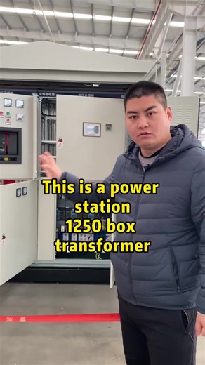 What components are inside a box-type transformer? #transformer#power equipment#power industry