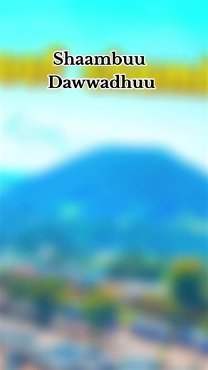 murtii (@murtii881)’s videos with original sound - ABDII TAAKKAALAA 🦅