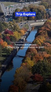 POV: you’re in Canada during peak fall 🍁 Which city should we visit next? 🇨🇦👇 #CanadaTrip #AutumnSeason #FallTravel #TravelInspo #TripExplore #ReelsTravel #NatureEscape #tripcom #tripexplore | Trip.Explore