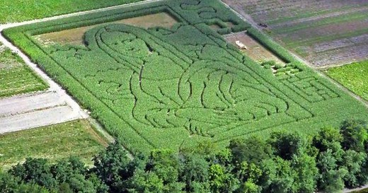 Massachusetts farm features elaborate corn mazes