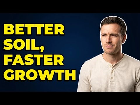 Does Compost Improve Soil For Plant Growth?