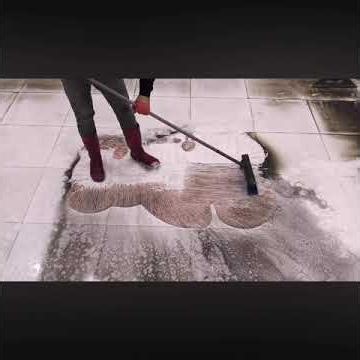 Satisfying rug Cleaning Compilation ASMR ~ Change Cleaning Services #carpetcleaningasmr